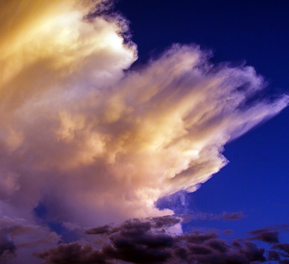 Los estudiantes instalaron un par de islas flotantes para proporcionar un punto de apoyo a especies vegetales nativas, tortugas y aves acuáticas. (Foto cortesía de Greg Gordon)